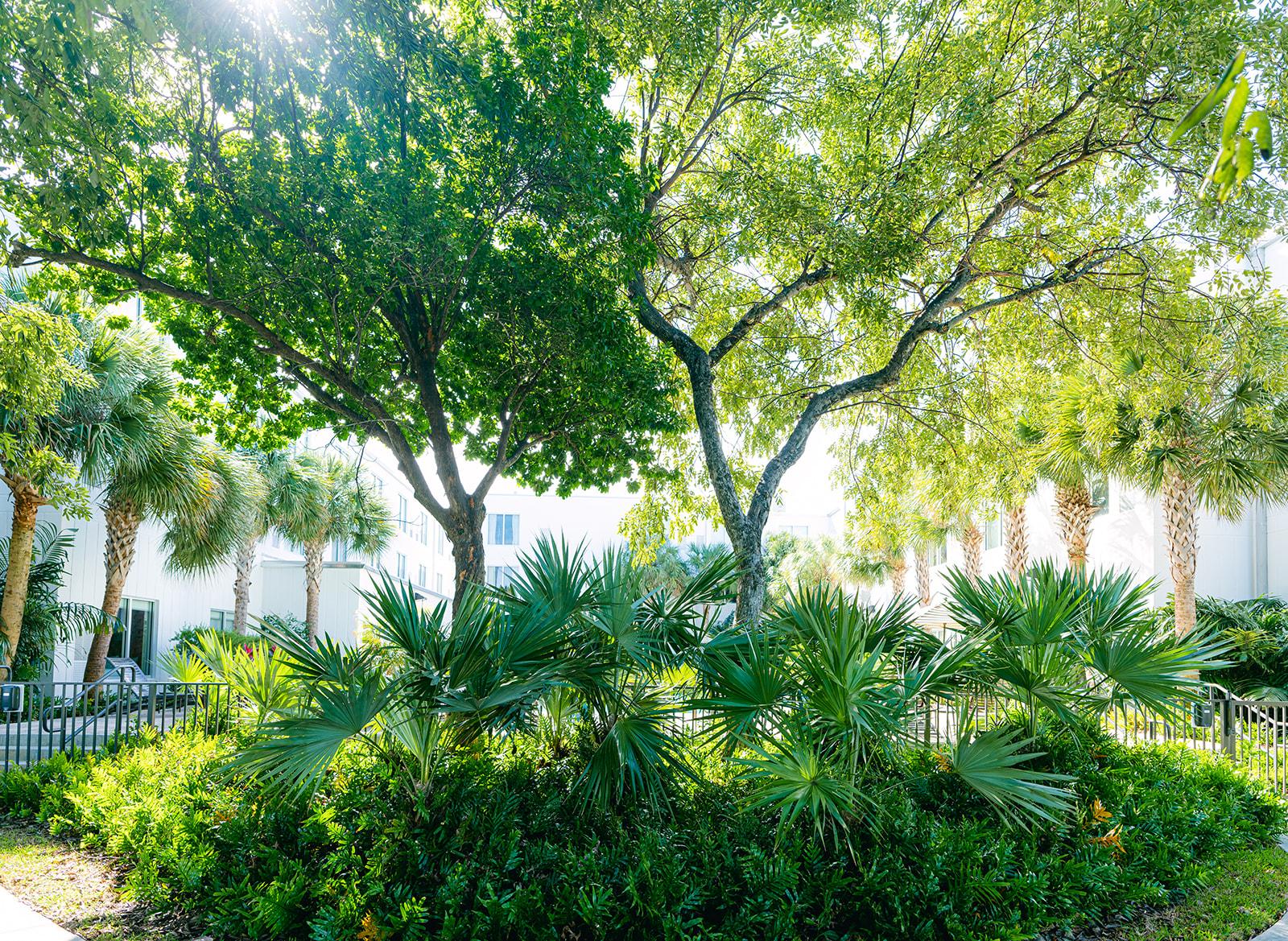 Faro Blanco Resort & Yacht Club Marathon Exterior photo